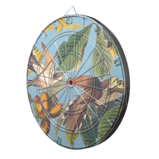 Cible De Fléchettes Coucou à bec jaune Audubon (Devant droit)