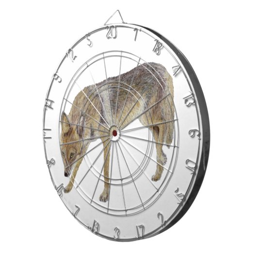 Cible De Fléchettes Coyote (Devant droit)