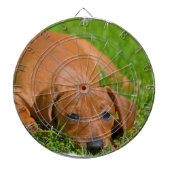 Cible de flechettes - customisée (Devant)