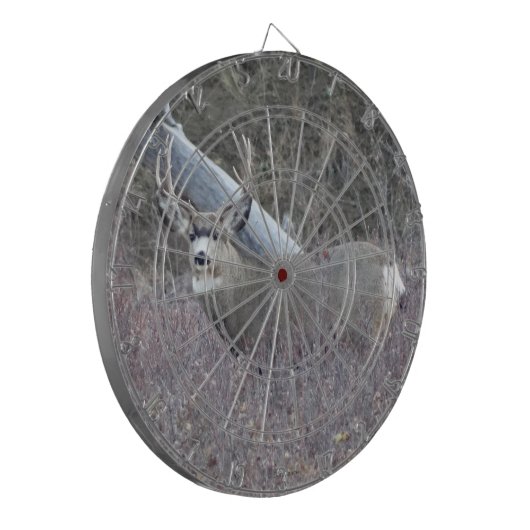 Cible De Fléchettes D32 Mule Deer Buck (Devant gauche)