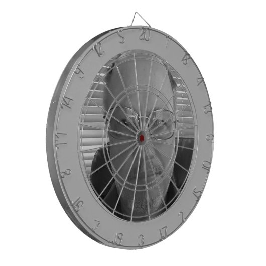 Cible De Fléchettes Dart Me (Devant gauche)