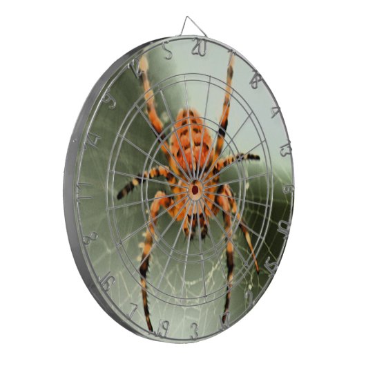 Cible De Fléchettes Dartboard (Devant gauche)