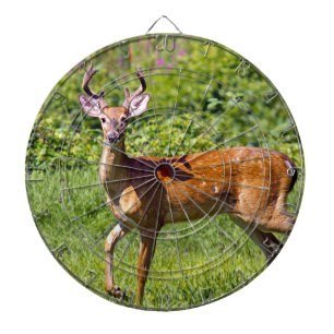 Cible De Fléchettes Deer Hunter