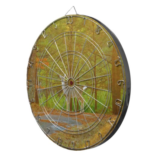 CIBLE DE FLÉCHETTES DSCF4041.JPG (Devant droit)