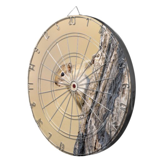 Cible De Fléchettes Écureuil (Devant droit)