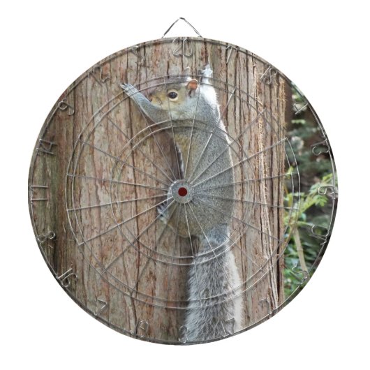 Cible De Fléchettes Écureuil sur le tableau de bord de l'arbre (Devant)