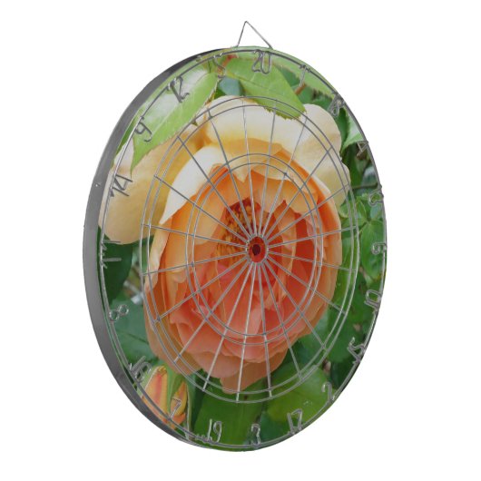 Cible De Fléchettes Élégant Rose orange (Devant gauche)