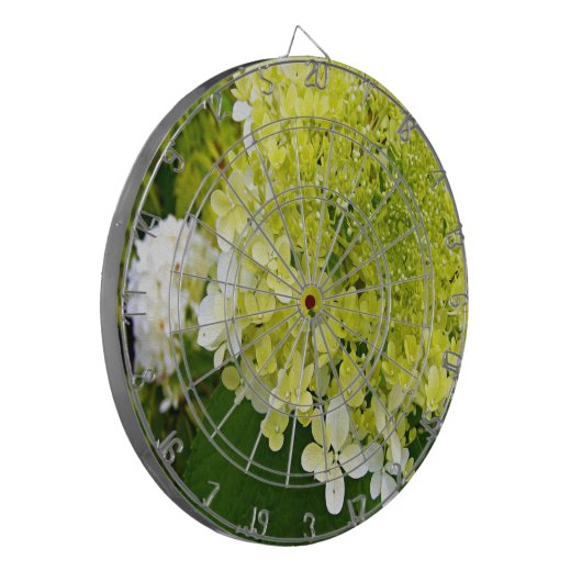 Cible De Fléchettes Élégante Chartreuse Vert Limelight Hydrangea (Devant gauche)