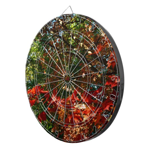 Cible De Fléchettes Érable japonais en automne (Devant droit)