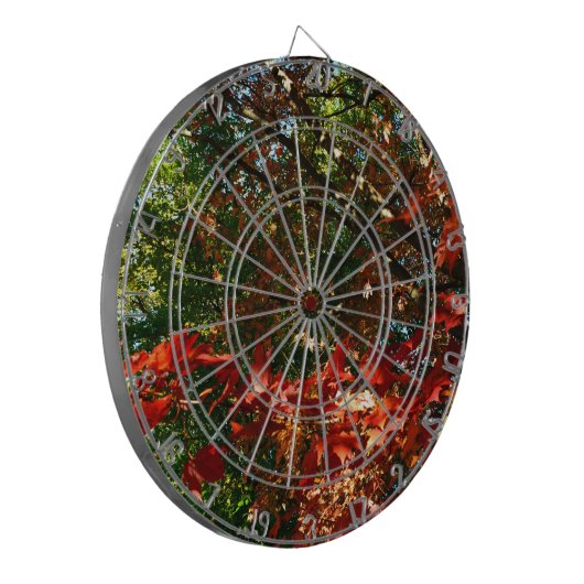 Cible De Fléchettes Érable japonais en automne (Devant gauche)