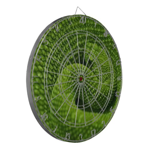 CIBLE DE FLÉCHETTES ESNAKE VERT (Devant gauche)