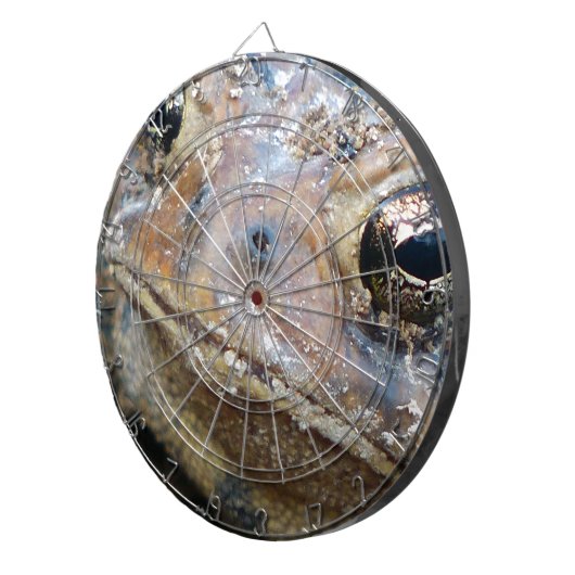 Cible De Fléchettes Face de crapaud (Devant droit)