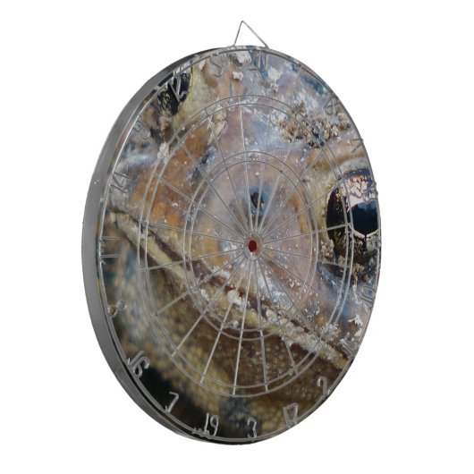 Cible De Fléchettes Face de crapaud (Devant gauche)