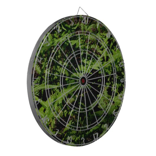 Cible De Fléchettes Fermes du plancher forestier (Devant gauche)