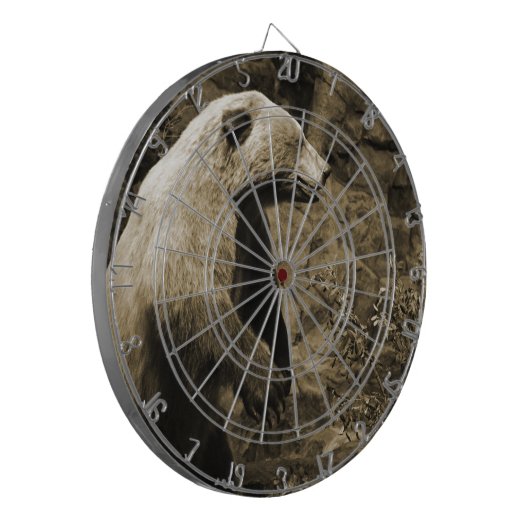 Cible De Fléchettes Fière Ours (Devant gauche)