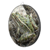 Cible De Fléchettes Grenouille de léopard R3 (Devant droit)