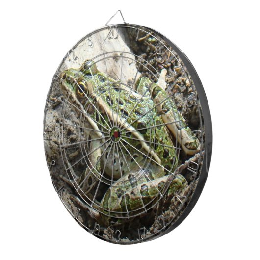 Cible De Fléchettes Grenouille de léopard R3 (Devant droit)