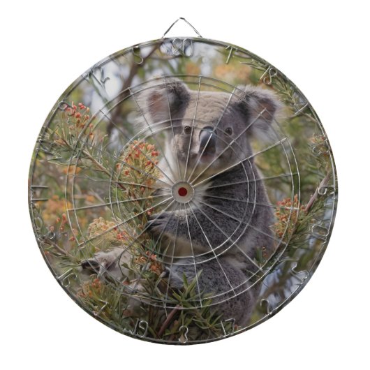 Cible De Fléchettes Grevillea Koala Bear, (Devant)