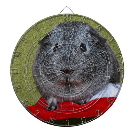 Cible De Fléchettes Guinea Pig Christmas (Devant)