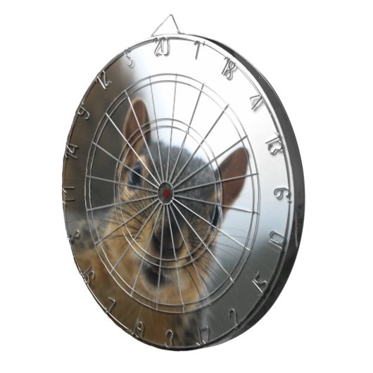 Cible De Fléchettes Hé, là (Devant droit)