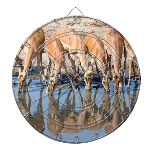 Cible De Fléchettes Impalas au trou d'eau (Devant)