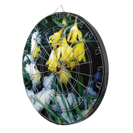 Cible De Fléchettes Jaune Daffodils fleurs dans la neige (Devant droit)