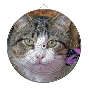 Cible De Fléchettes Je pense