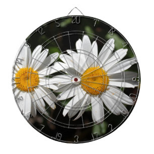 Cible De Fléchettes Jolies fleurs de marguerite blanches pures