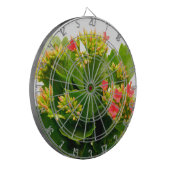 Cible De Fléchettes Kalanchoe blossfeldiana (Devant gauche)