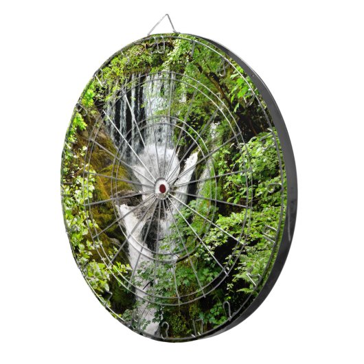 CIBLE DE FLÉCHETTES LES CHUTES D'EAU (Devant droit)