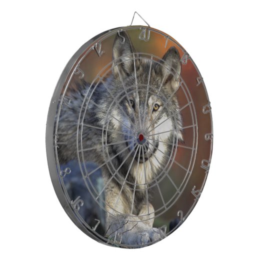 Cible De Fléchettes Loup Gris (Devant gauche)