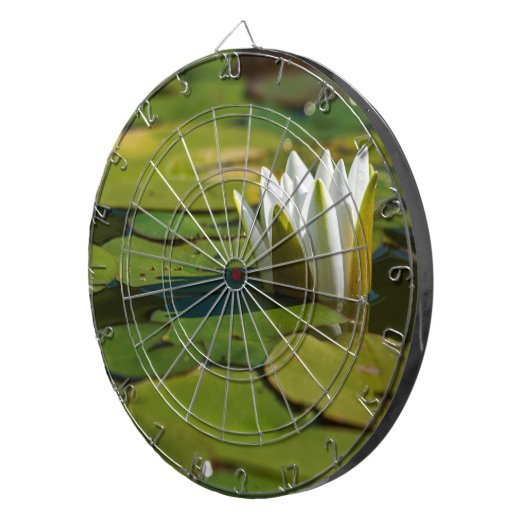 Cible De Fléchettes Lys d'eau (Devant droit)