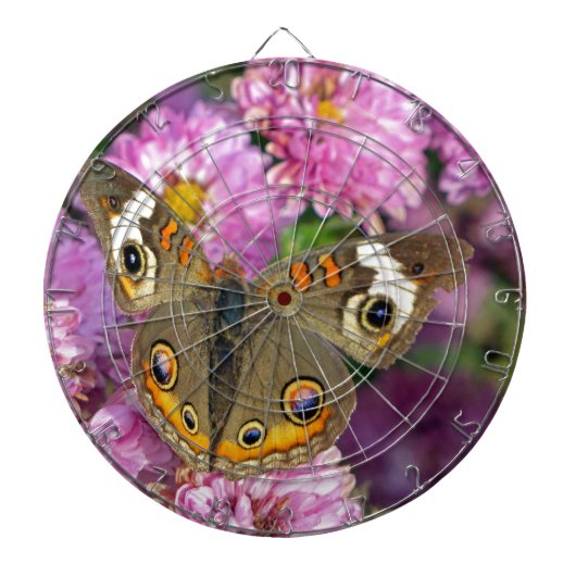 Cible De Fléchettes Papillon commun (Devant)