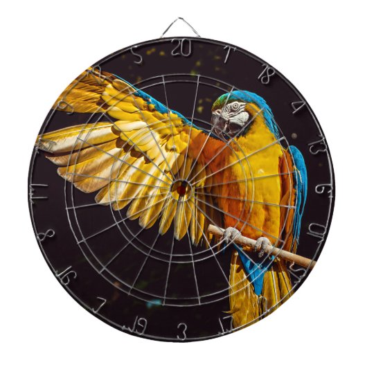 Cible De Fléchettes Parrot Sortir Aile Étendue (Devant)
