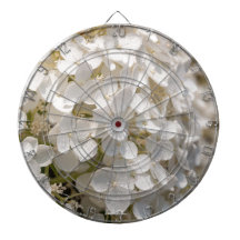 Petites fleurs blanches