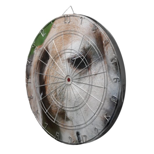 Cible De Fléchettes Portrait (Devant droit)