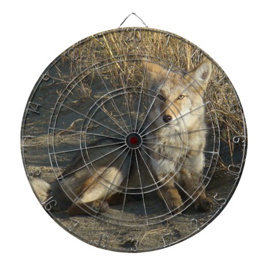 Cible De Fléchettes R19 Coyote Couché (Devant)