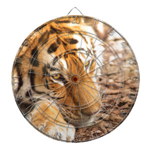 Cible De Fléchettes Repose de tigre
