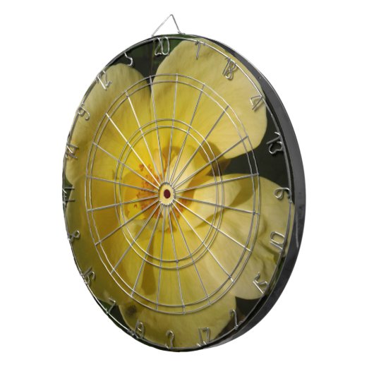 Cible De Fléchettes Rose jaune sauvage (Devant droit)