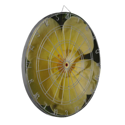 Cible De Fléchettes Rose jaune sauvage (Devant gauche)