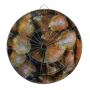 Cible De Fléchettes Salak [Fruit de serpent]