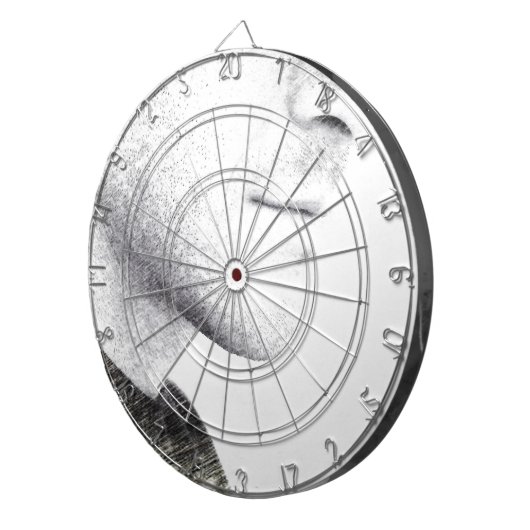 Cible De Fléchettes Silence (Devant droit)