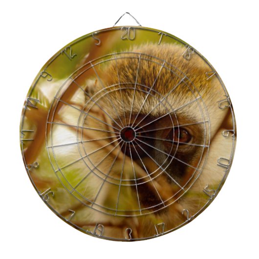 Cible De Fléchettes Singe Cheeky. (Devant)