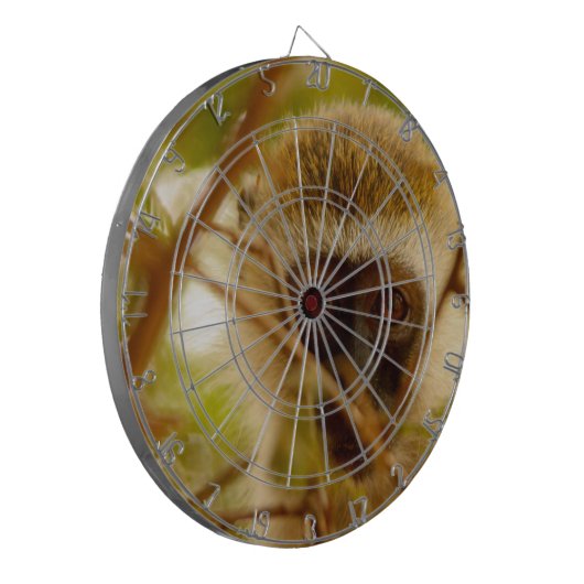 Cible De Fléchettes Singe Cheeky. (Devant gauche)