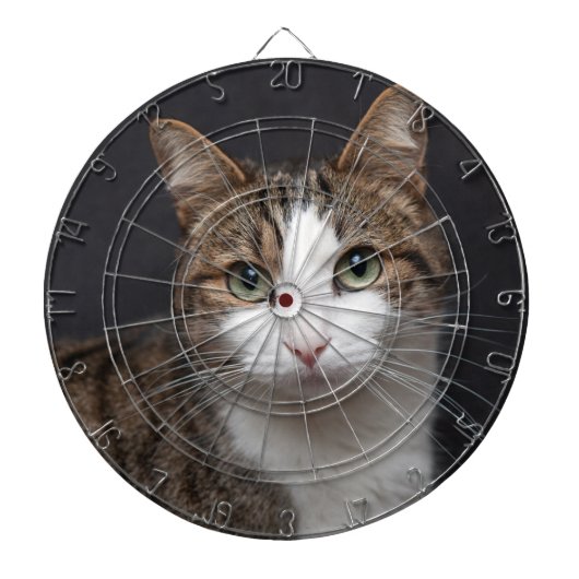 Cible De Fléchettes Tabby Chat avec yeux verts contre Arrière - plan n (Devant)