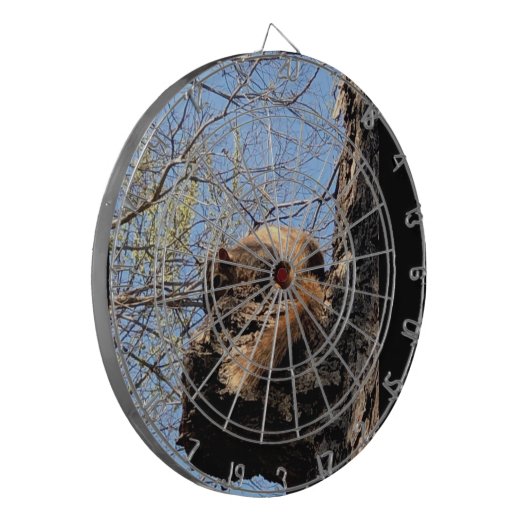 Cible De Fléchettes Tableau noir d'écureuil (Devant gauche)