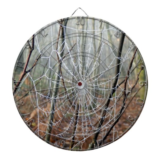 Cible De Fléchettes Web de l'araignée de jardin européen Dartboard (Devant)