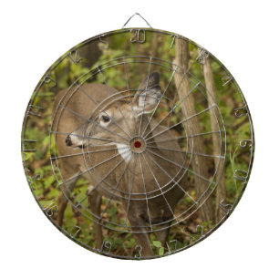 Cible De Fléchettes White Tailed