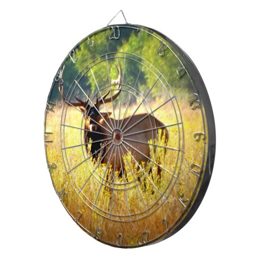 Cible d'élans de Taureau (Devant droit)