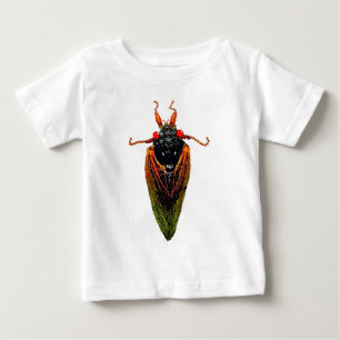 Cicada